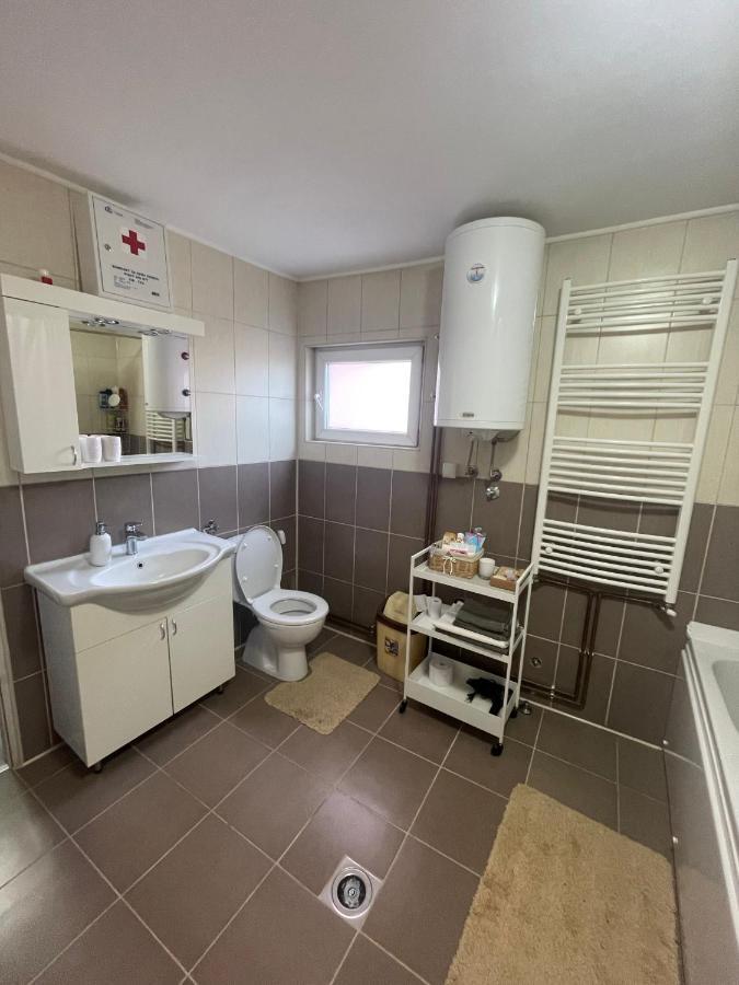 Antic Apartment Požarevac Extérieur photo